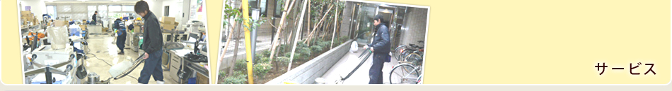 �����ӥ�